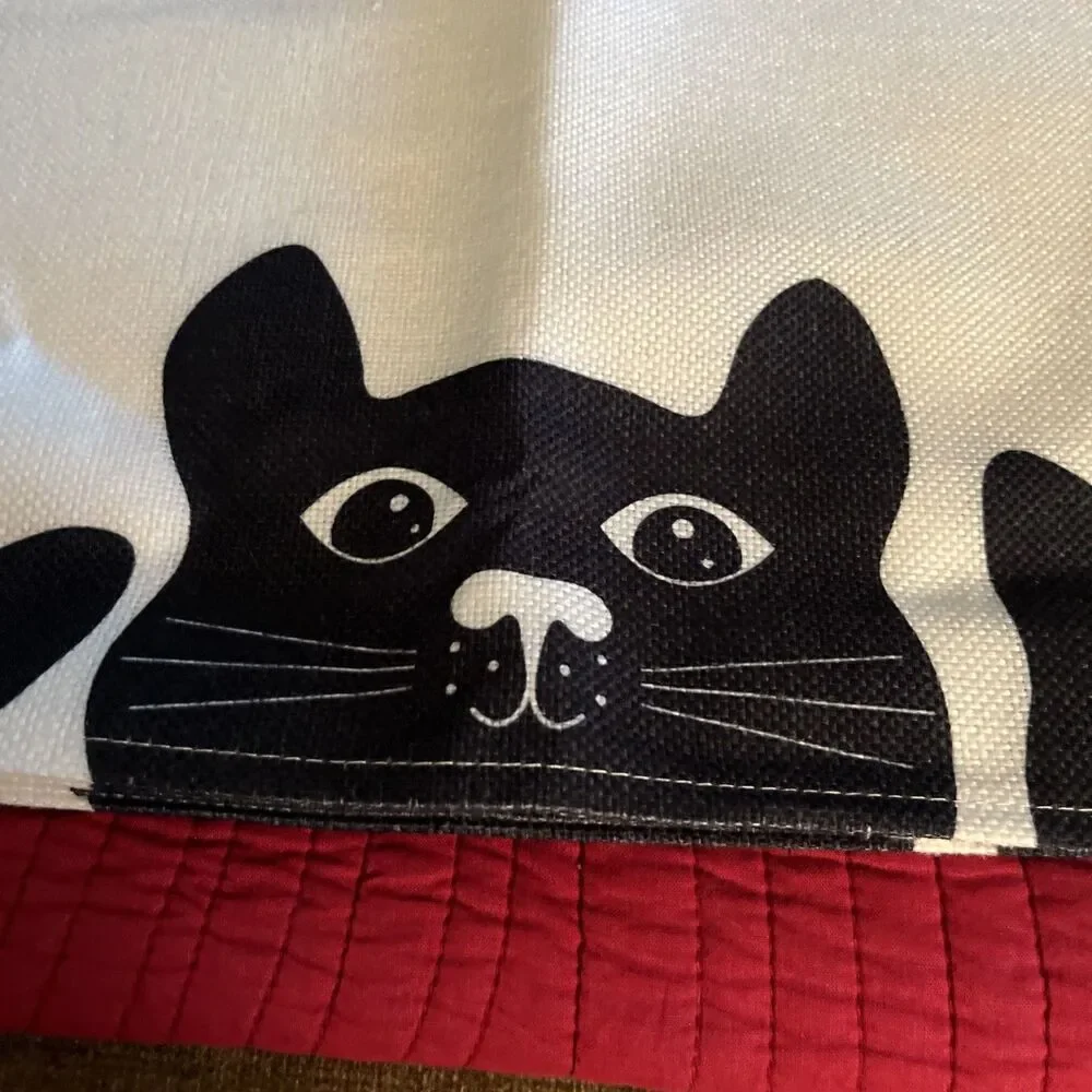 cenlaren black cat